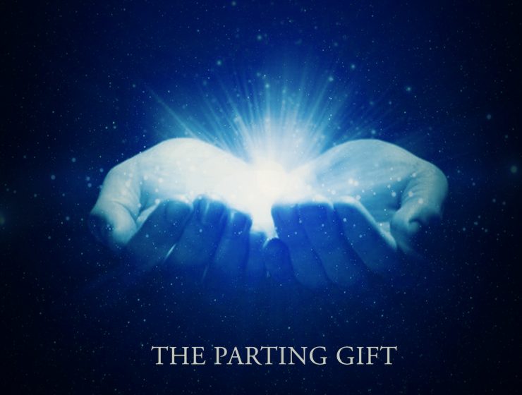 Without Belief - The Parting Gift